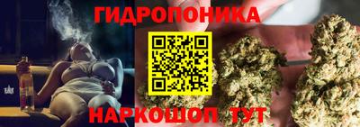 стаф Камышлов