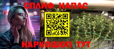 стаф Камышлов