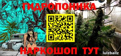 ECSTASY Канаш