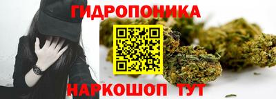 ECSTASY Канаш