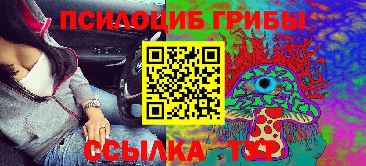 Псилоцибиновые грибы GOLDEN TEACHER  Вход с VPN  Кувандык  Галлюциногенные грибы Psilocybe 